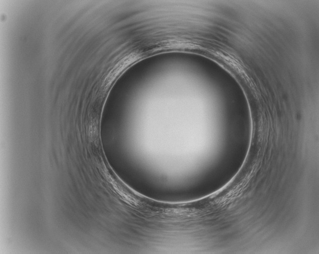 X0000059041281200510171839