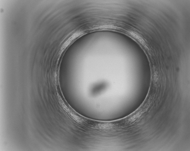 X0000059041282200510171839