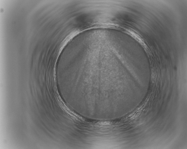 X0000059041283200510171839