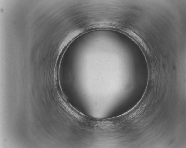 X0000059041285200510171839