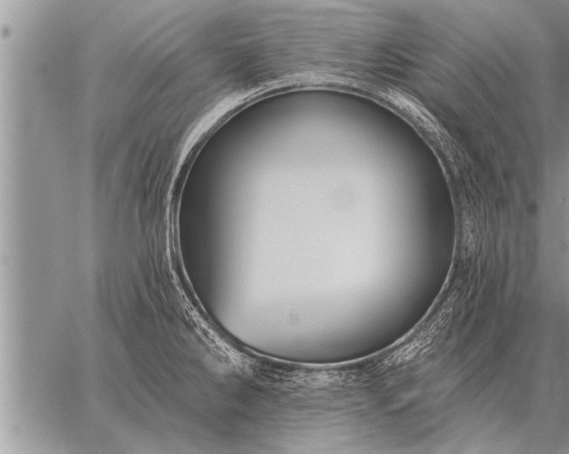 X0000059041286200510171839