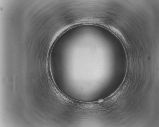 X0000059041288200510171839