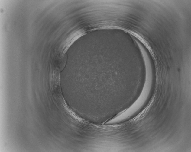 X0000059041289200510171839