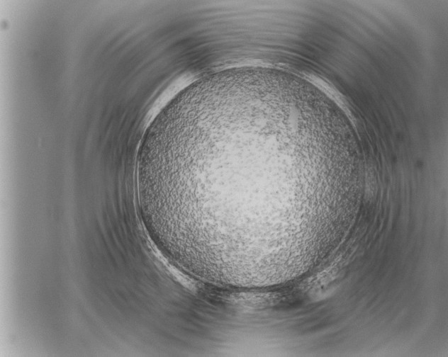 X0000059041290200510171839