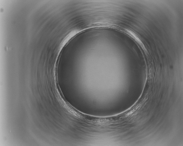 X0000059041291200510171839