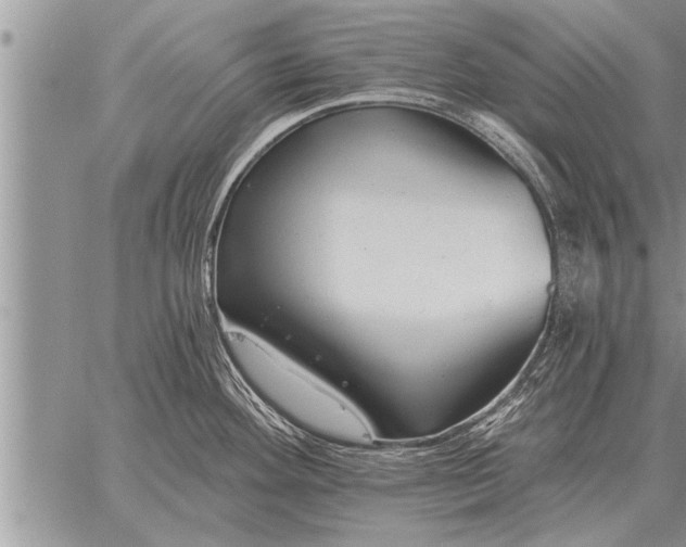 X0000059041292200510171839