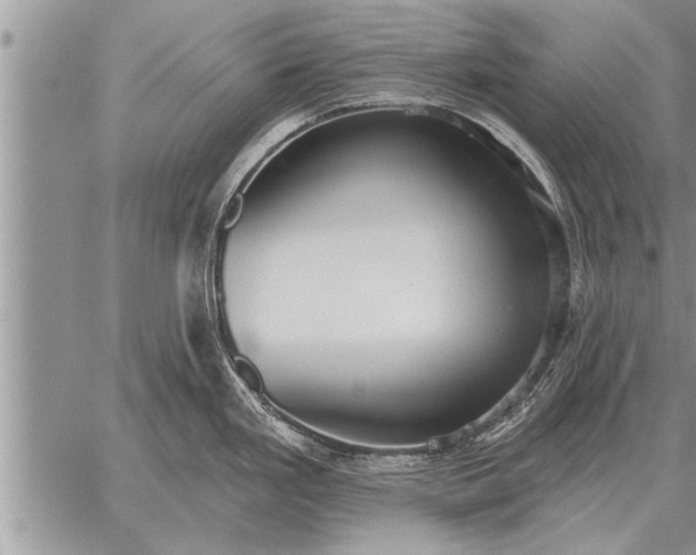 X0000059041293200510171839