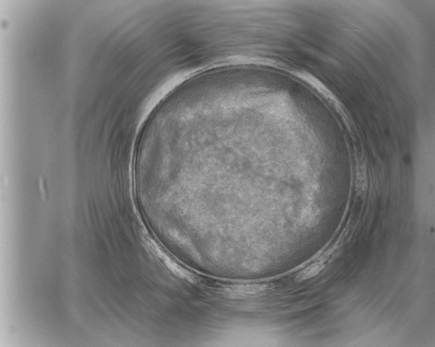 X0000059041294200510171839