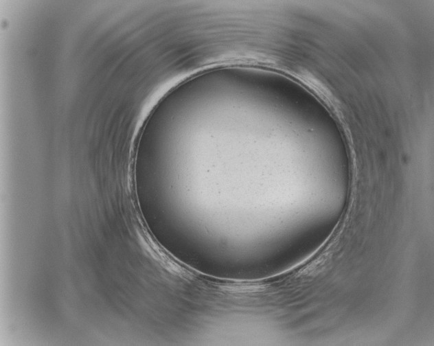 X0000059041296200510171839