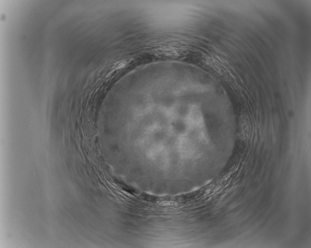 X0000059041297200510171838