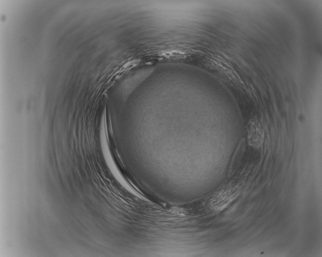 X0000059041298200510171838