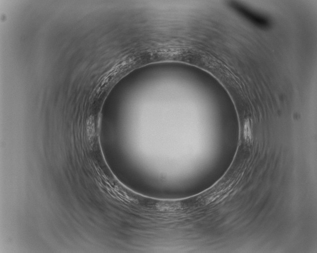 X0000059041299200510171838