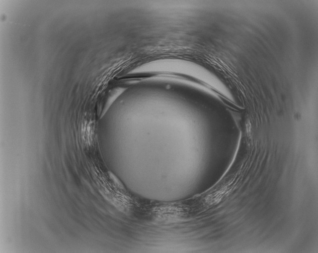 X0000059041300200510171838