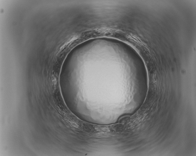 X0000059041302200510171838