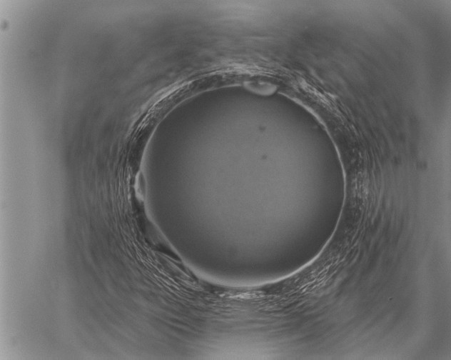 X0000059041303200510171838