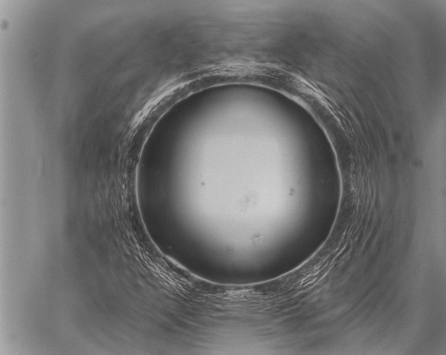 X0000059041304200510171838