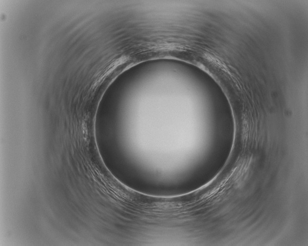 X0000059041305200510171838