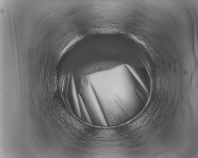 X0000059041306200510171838