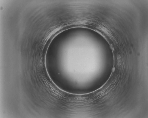 X0000059041308200510171838