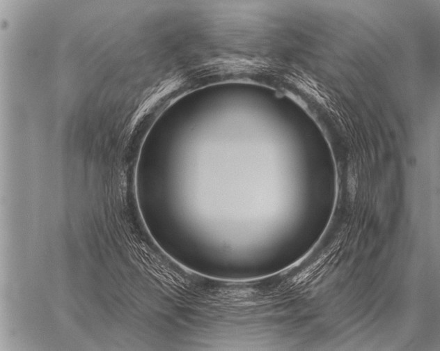 X0000059041309200510171838