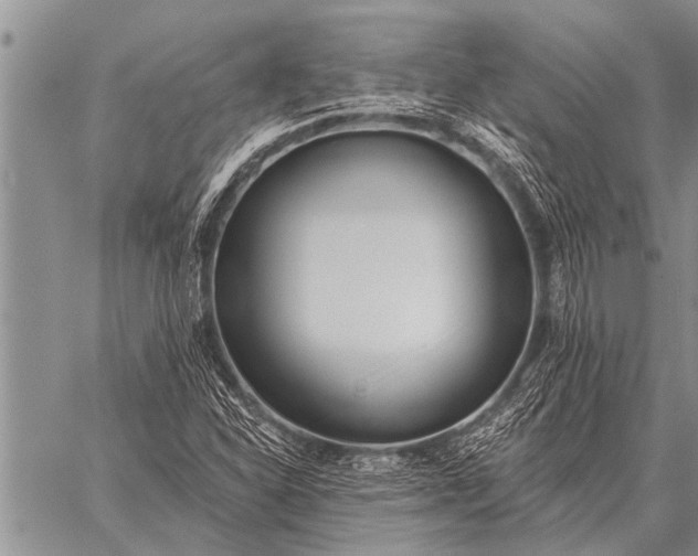 X0000059041310200510171838