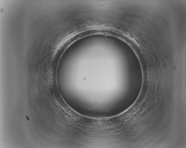 X0000059041311200510171838