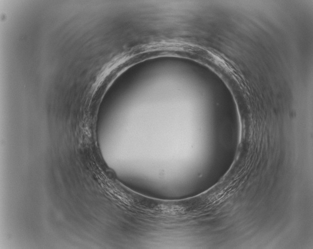 X0000059041312200510171838