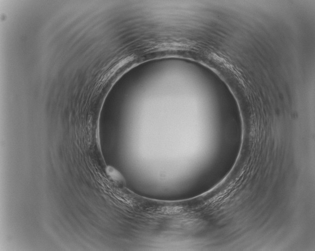 X0000059041313200510171838