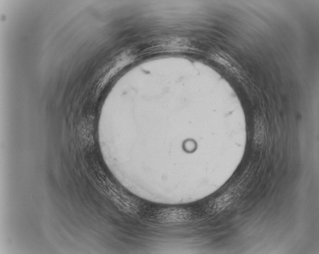 X0000059041314200510171838