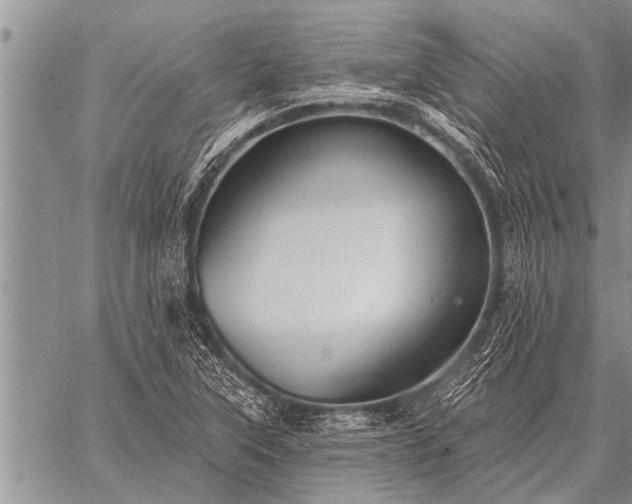 X0000059041315200510171838