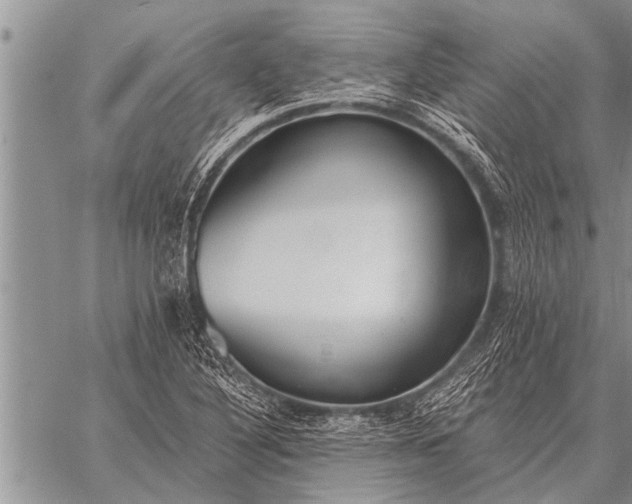 X0000059041316200510171838