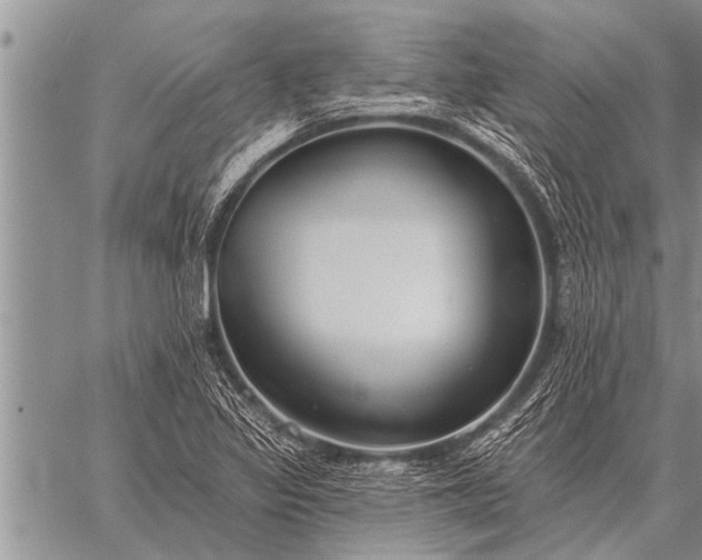 X0000059041317200510171838