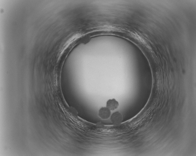 X0000059041318200510171838