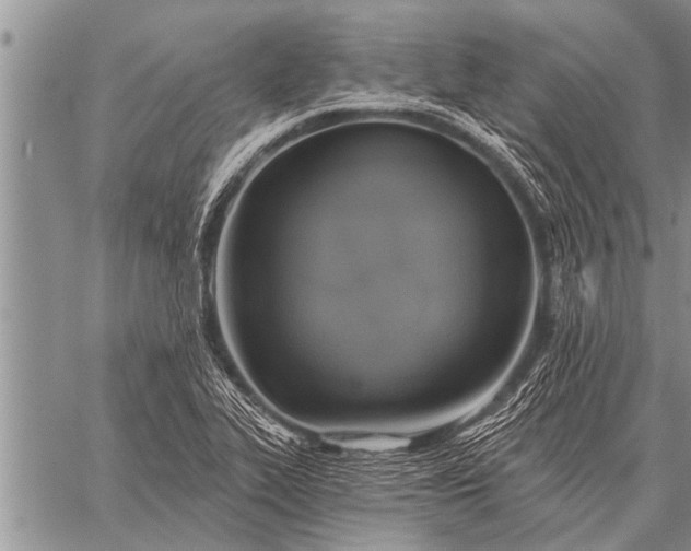 X0000059041319200510171839