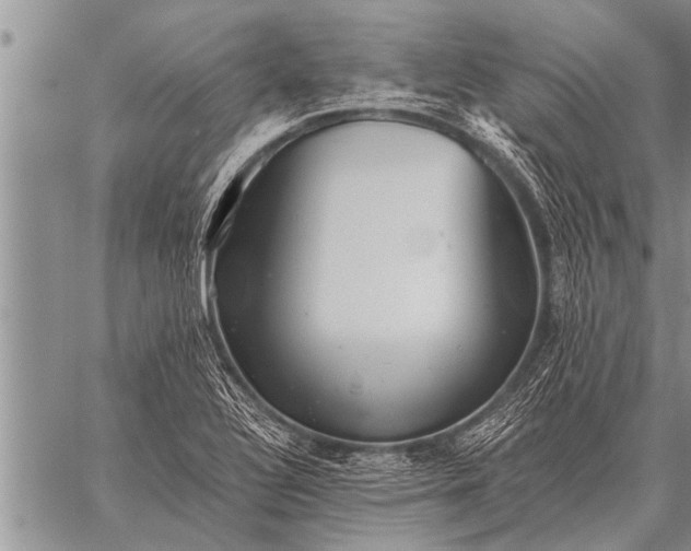 X0000059041320200510171839