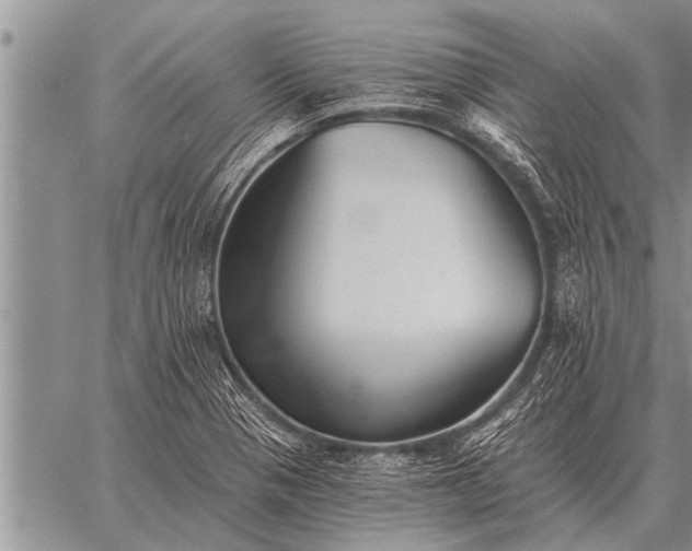 X0000059041321200510171839