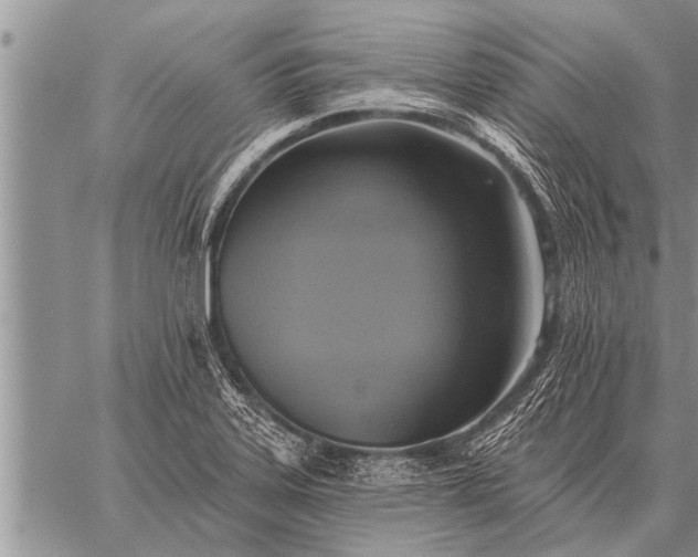 X0000059041323200510171839