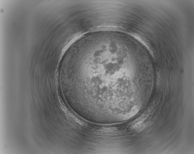 X0000059041325200510171839