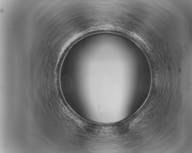 X0000059041326200510171839