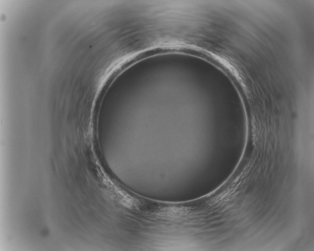 X0000059041327200510171839