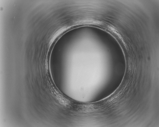 X0000059041328200510171839