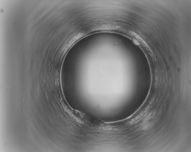 X0000059041329200510171839