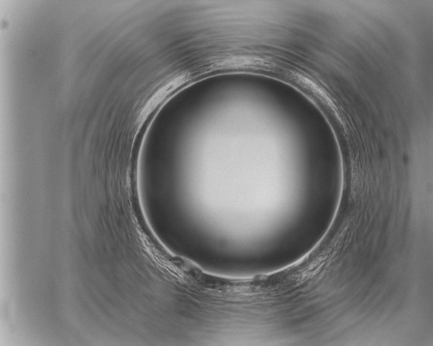 X0000059041330200510171839