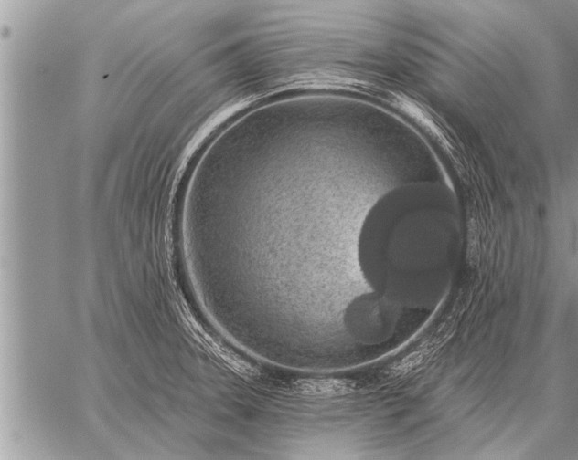 X0000059041331200510171839