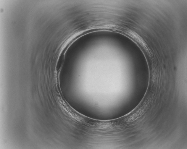 X0000059041332200510171839