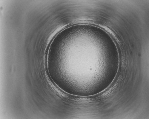 X0000059041333200510171839