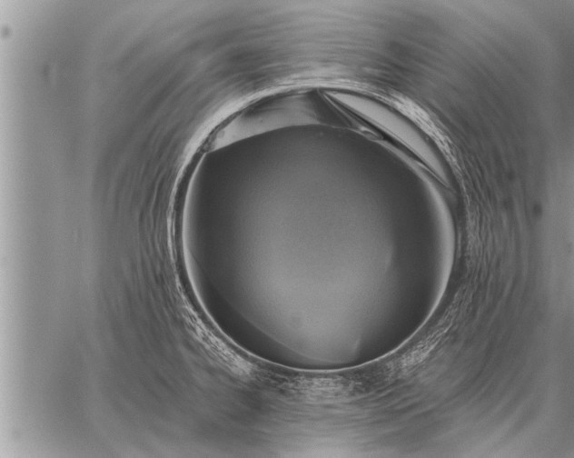 X0000059041334200510171839