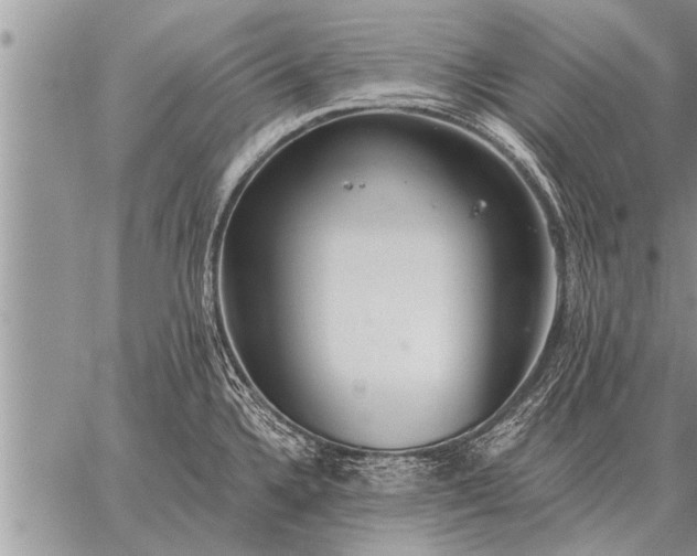 X0000059041336200510171839