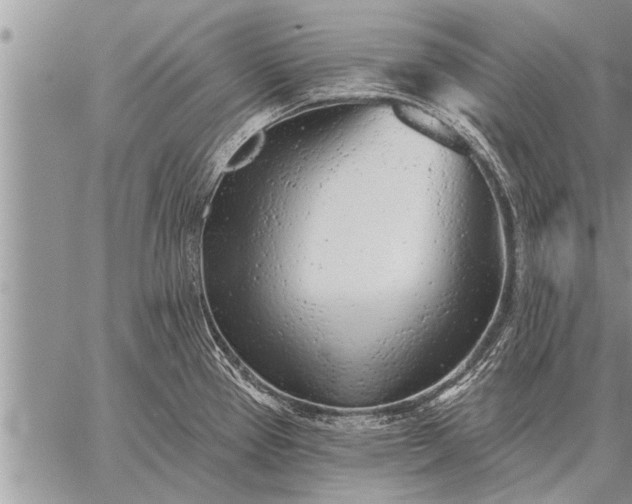 X0000059041337200510171839