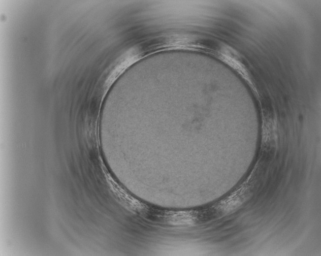 X0000059041338200510171839